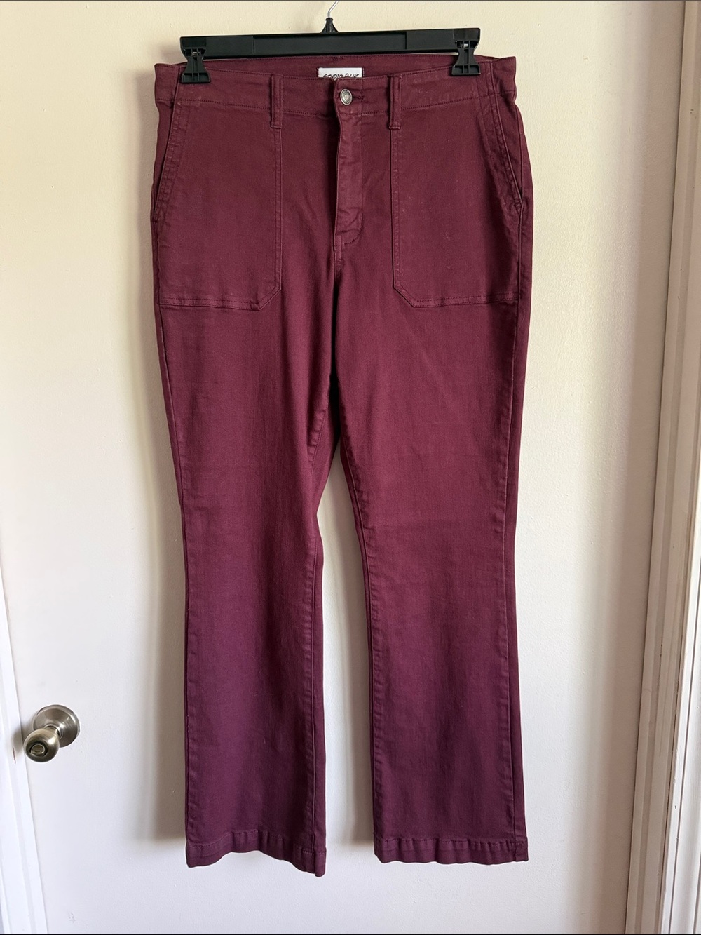Studio Blue Maroon Cargo Jeans size 31